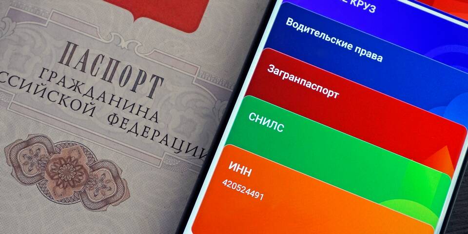 Как выгрузить ИНН с Госуслуг в виде документа