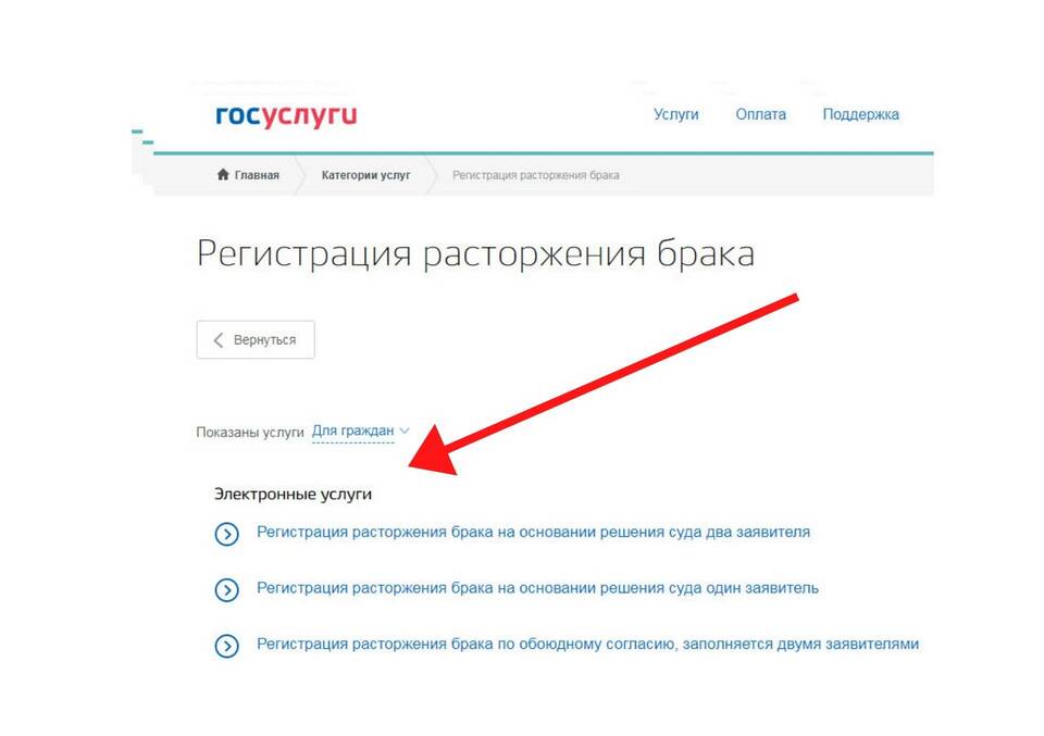 Сроки оформления развода через Госуслуги
