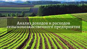 Что показывают расходы в финансовом анализе