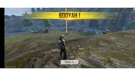Из чего состоит алмаз в Garena Free Fire (Garena Free Fire Max) в Timberland