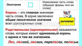 Как называются части слова: приставка, суффикс, окончание в Timberland
