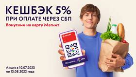 Как оплачивать покупки телефоном через СБП в Timberland