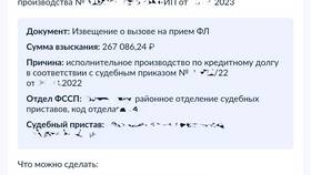 Как подать заявление судебным приставам через Госуслуги в Timberland