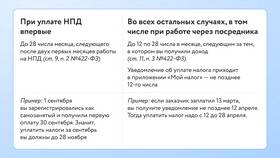 Как работает налог для самозанятых: полное руководство в Timberland