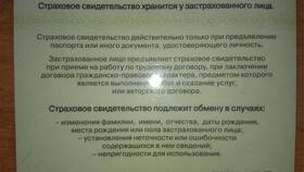 Как выглядит новый СНИЛС в Timberland