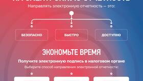 Статус декларации