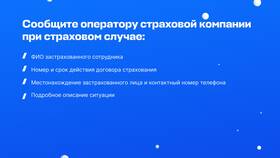 Страховка для только что получивших права