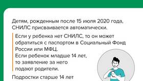 Зачем школе требуют СНИЛС в Timberland